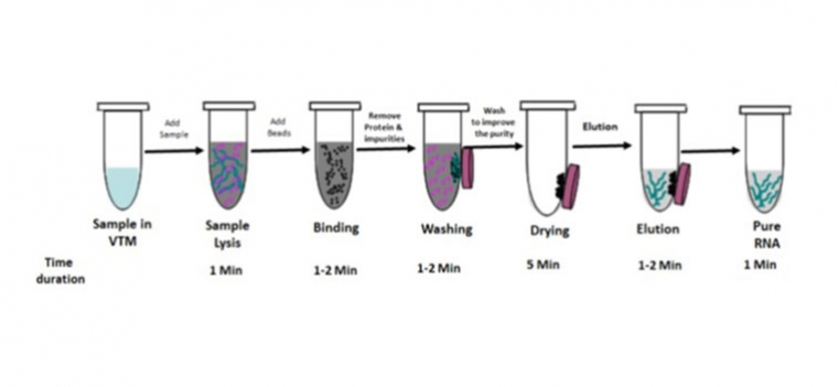 RNAsure - Covid-19 RNA Extraction Kit | Corona virus (SARS-CoV-2) RNA ...