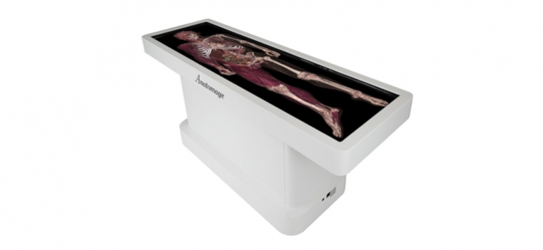 anatomage single case viewer